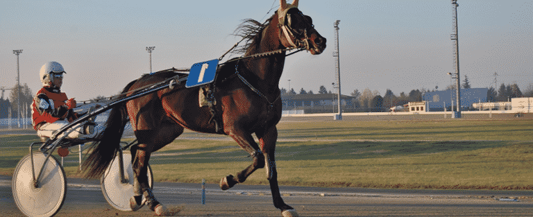 Meadowlands Racetrack Commences NJ Sports Betting