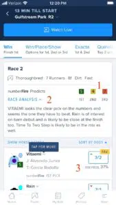 FanDuel Racing tips